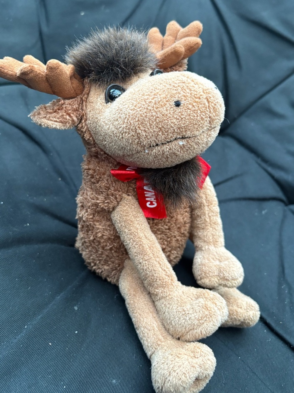 Murphy Moose Floppyfoot Friends Canada Stuffed Animal House